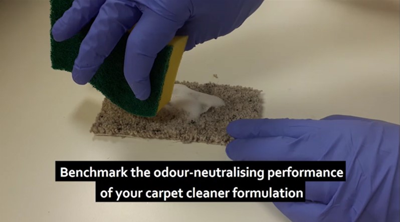Benchmark the performance of your carpet cleaner